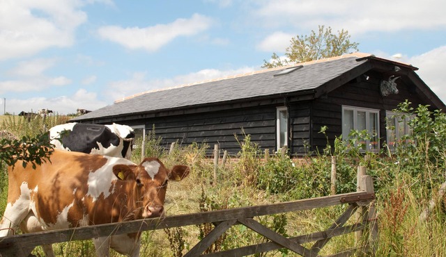 Bull Farm Studios
