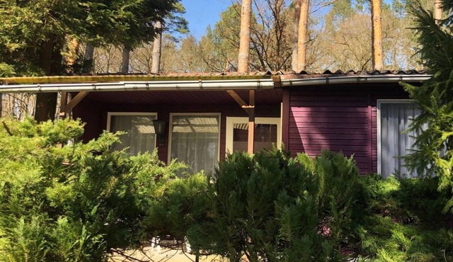 Bungalow 'B 8' with Private Terrace and Wi-Fi
