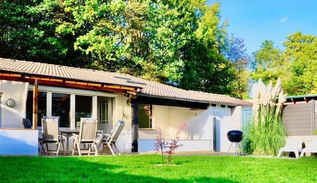 Bungalow for 4 guests with 100m² in Gunderath (163445)