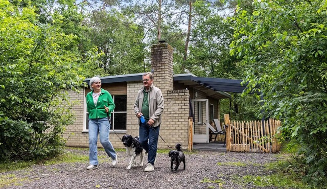 Bungalow Pluto Huisdiervriendelijke bungalow 4 persons