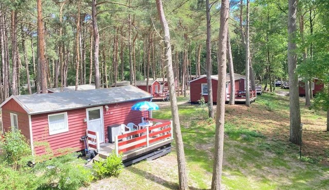 Bungalow Steinadler 43