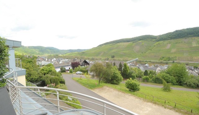 Burg Eltz - Holiday cottage Panorama Mosel