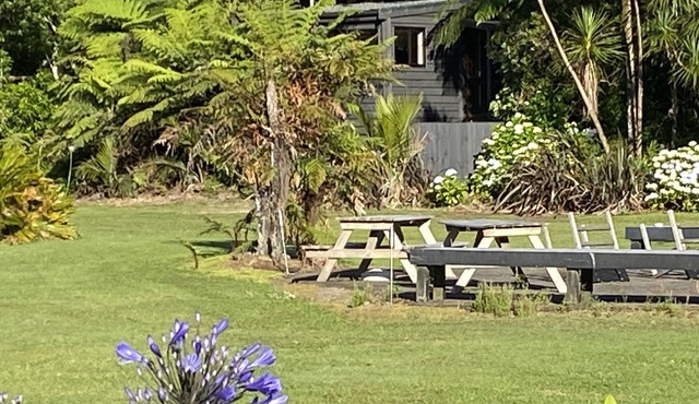 Bush Edge Studio