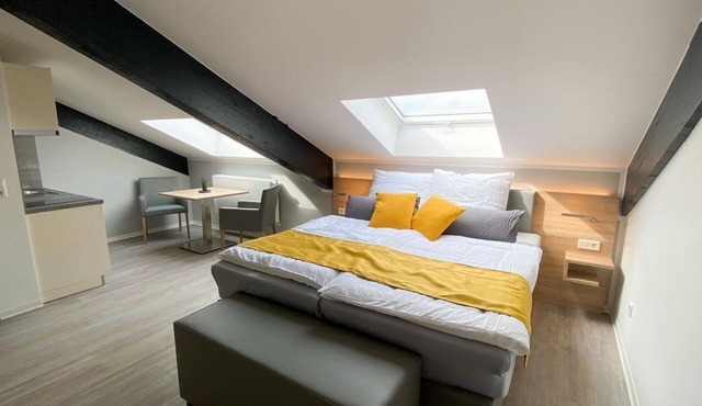 Business double room with kitchenette, shower WC - Boardinghouse Breitscheid