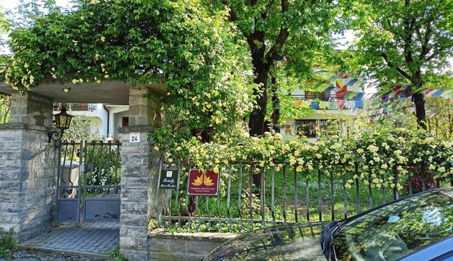 Butterfly B&B