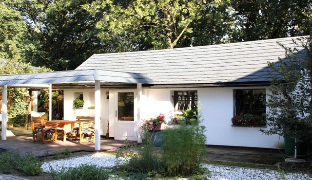 by the forest Modern retreat