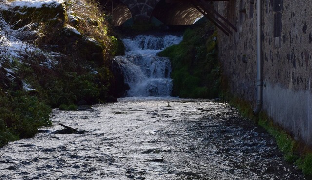 By the stream