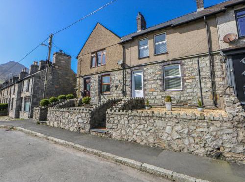 Bythynnod Newydd