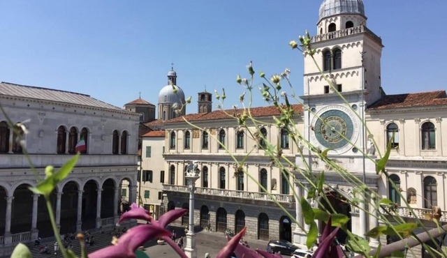 Ca Bassani - Panoramic View above Piazza dei Signori