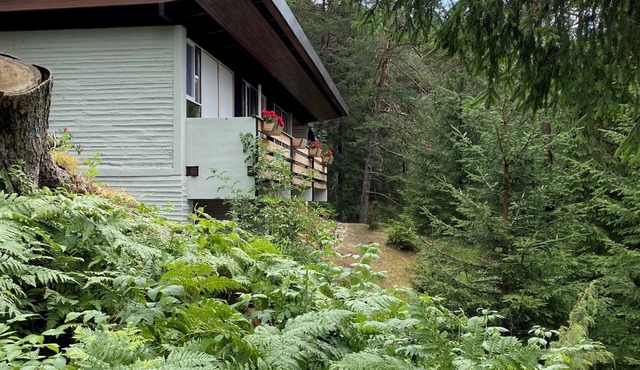 Ca' Mugo, a dream chalet in the enchanted forest, near Cortina