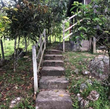Cabaña El Bosque