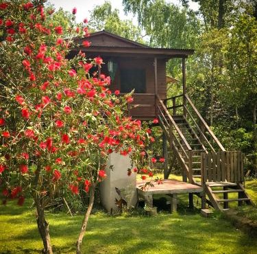 Cabaña en Isla del Delta de Tigre - LA CALMA