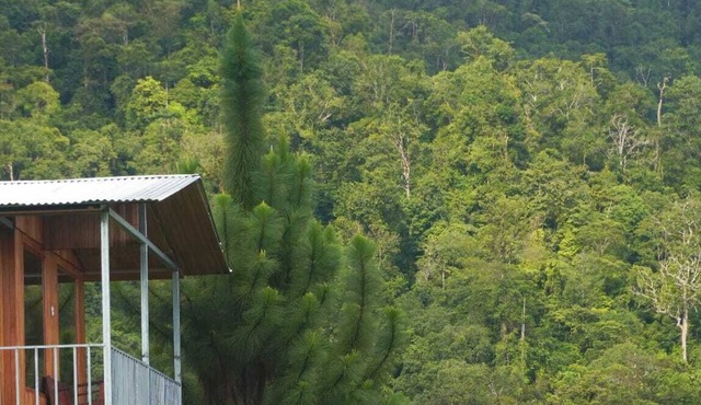 Cabaña para dos con una increíble vista al bosque de Platanillo