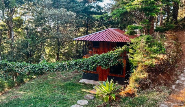 Cabaña Piqueza!