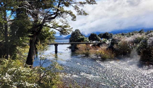Cabaña San Martin de los Andes, Lolog