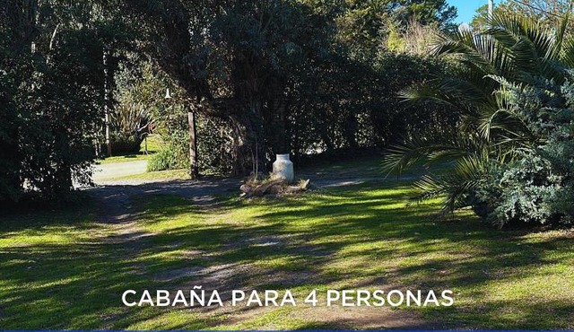 Cabañas DON VITO