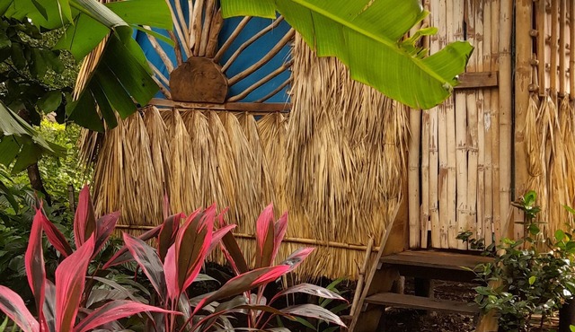 Cabañas El Bamboo