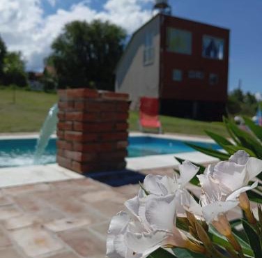 Cabañas Guayacán
