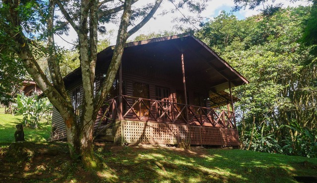 Cabañas La Naciente