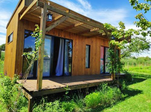 Cabañas Natural Box 1