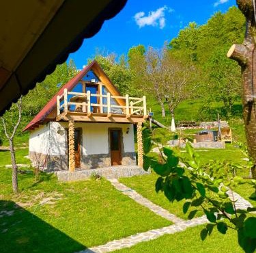 Cabană tip A Wild Glamping Cornereva