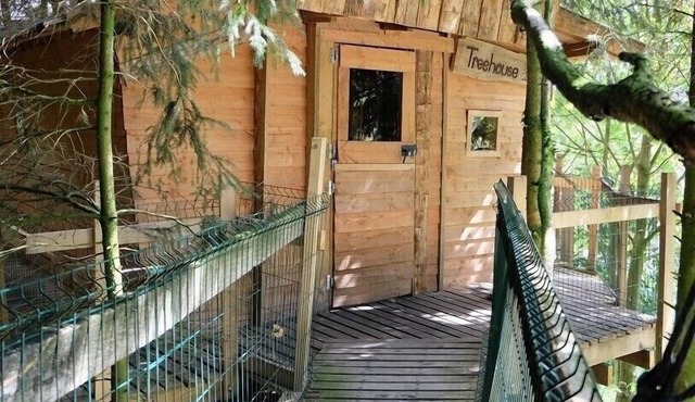 Cabane dans les Arbres - Tree House