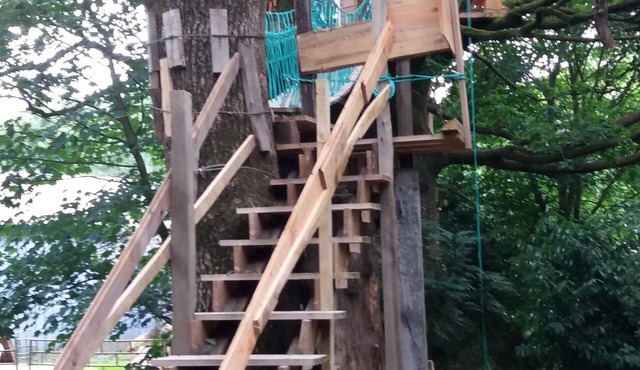 Cabane Dans Les Arbres - Le Nid Dans Le Chêne