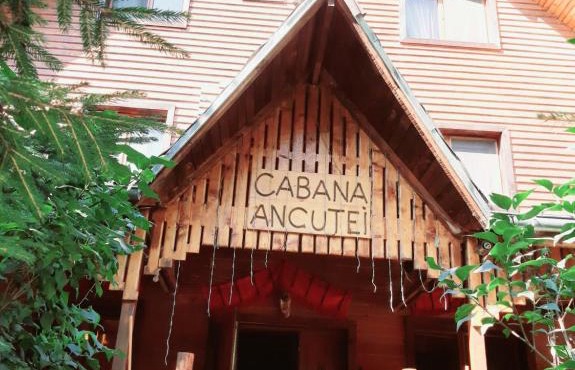 Cabana Ancutei