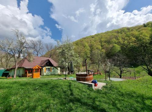Cabana Ciupercuța