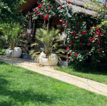 Cabana Sorina