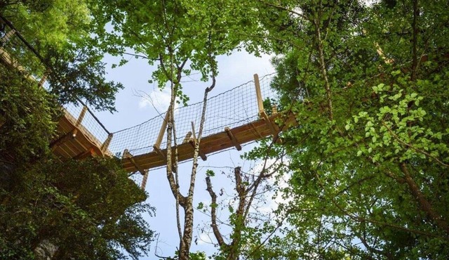 Cabane Celeste with private indoor spa + seasonal swimming pool