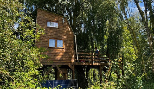 Cabane Dans l Arbre