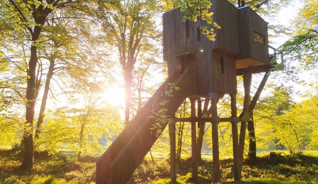 CABANE DANS LES ARBRES (9M) 4/5 pers - Etape en Foret