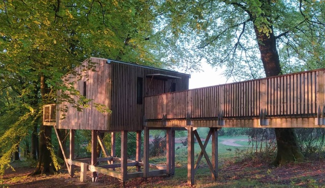 CABANE DANS LES ARBRES (4m) & SPA privatif 4/5 pers adapted PMR