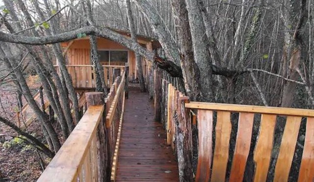 Cabane des cerfs