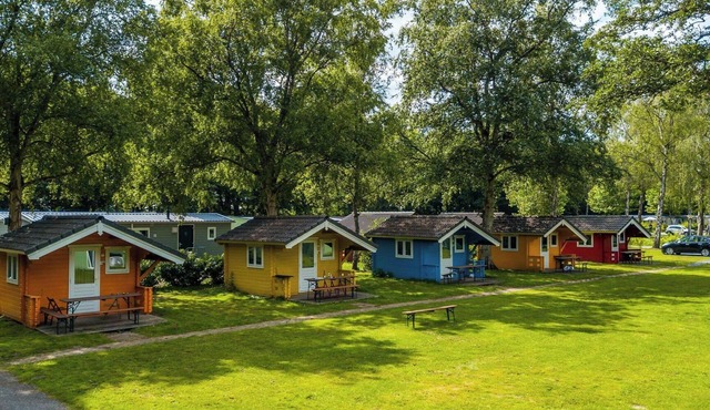 Cabin 2