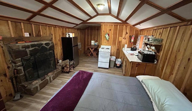 Cabin #7 - Rustic Studio with fireplace