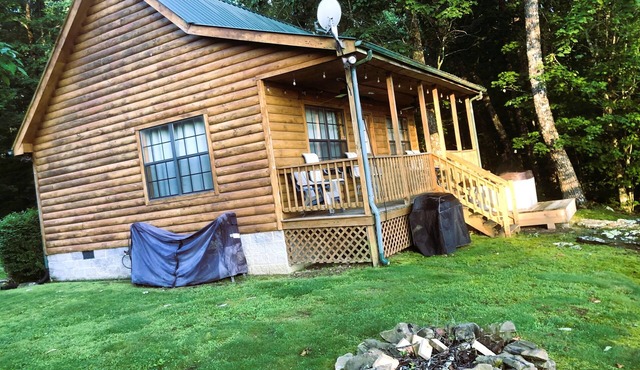 Cabin Fever!