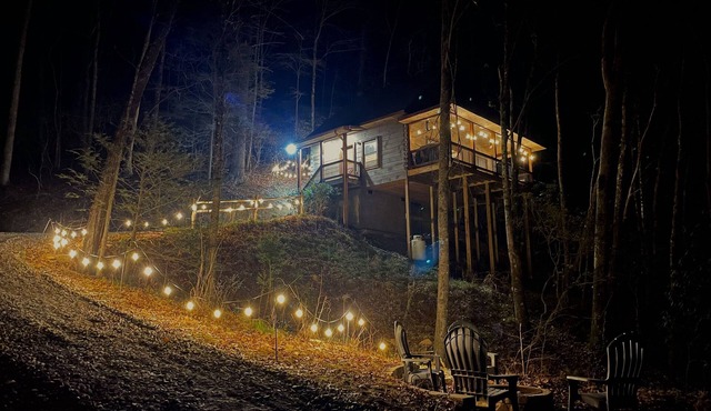 Cabin in the Trees Overlooking Stocked Trout Stream. Hot tub and Fire pit.