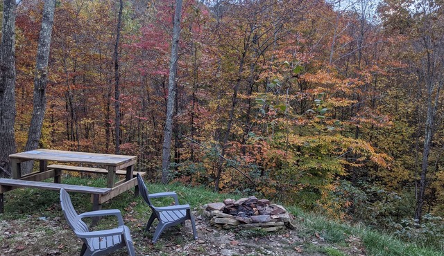 Cabin surrounded by Wayne National Forest and the Baileys Trail System