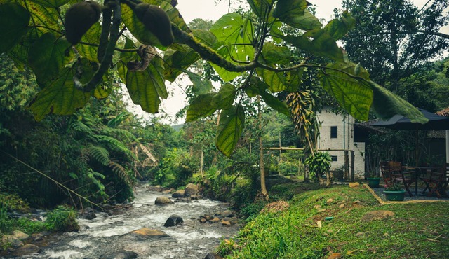 Cabin With Private River