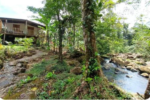 Cabins river blue
