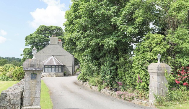 Cae Ffynnon