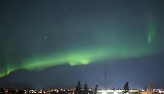 Calgary Star Cozy Home