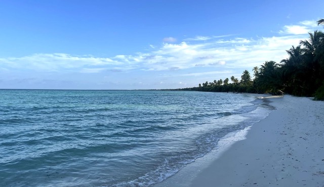 Calm Beach Inn