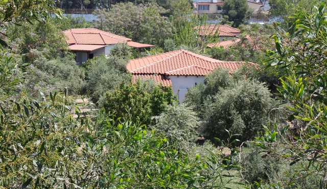 Calm located, amid an olive grove, close to the beach, wifi | holiday house Ilia
