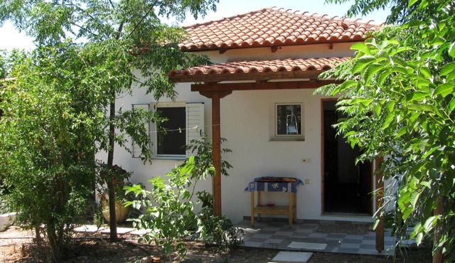 Calm located, amid an olive grove, close to the beach, wifi | holiday house Ilia
