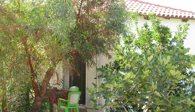 Calm located, amid an olive grove, close to the beach, wifi | holiday house Ilia