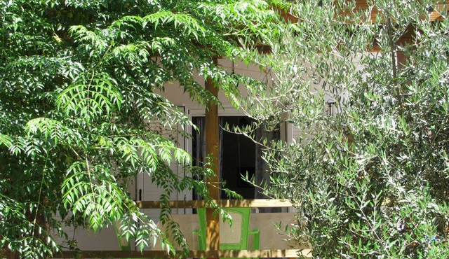 Calm located, amid an olive grove, close to the beach, wifi | holiday house Ilia