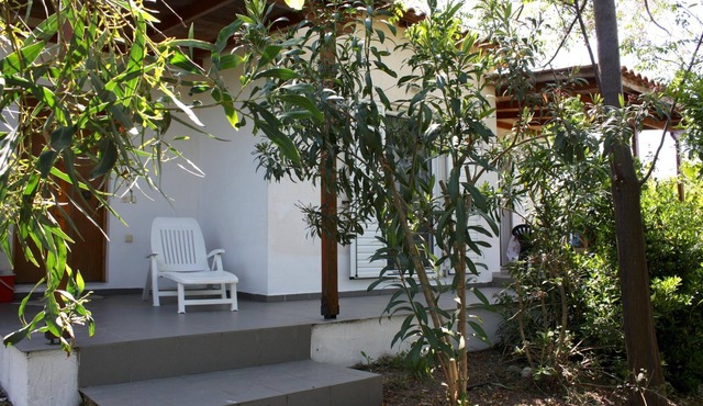 Calm located, amid an olive grove, close to the beach, wifi | holiday house Ilia